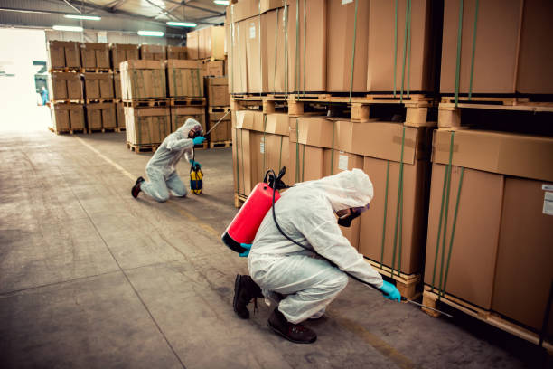 Professional Pest Control in Flippin, AR
