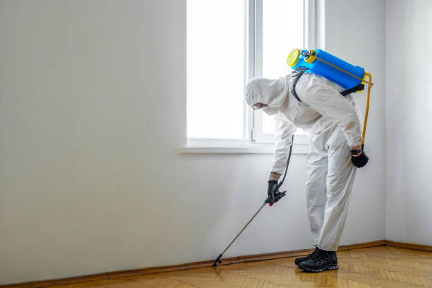 Best Local Pest Control Services  in Flippin, AR