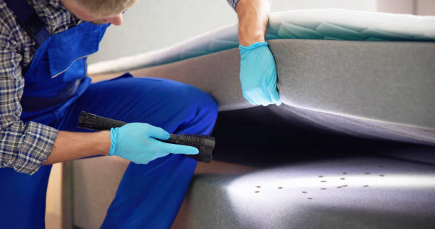 Best Wasp Removal Services  in Flippin, AR