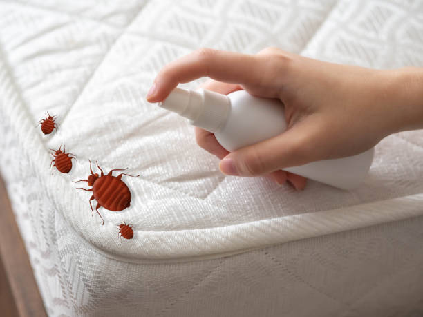 Best Pest Prevention Services  in Flippin, AR